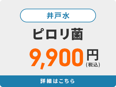 ピロリ菌 9,900円(税込)