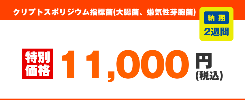 その他、原水の水質検査価格 クリプトスポリジウム指標菌(大腸菌、嫌気性芽胞菌)